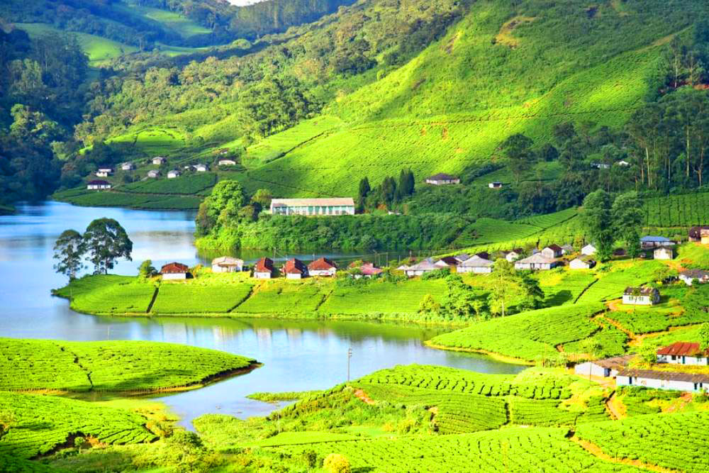 Munnar