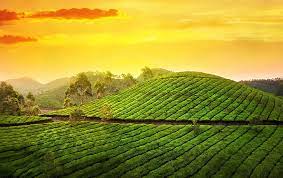 munnar