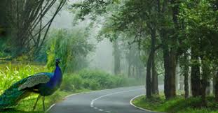 Wayanad