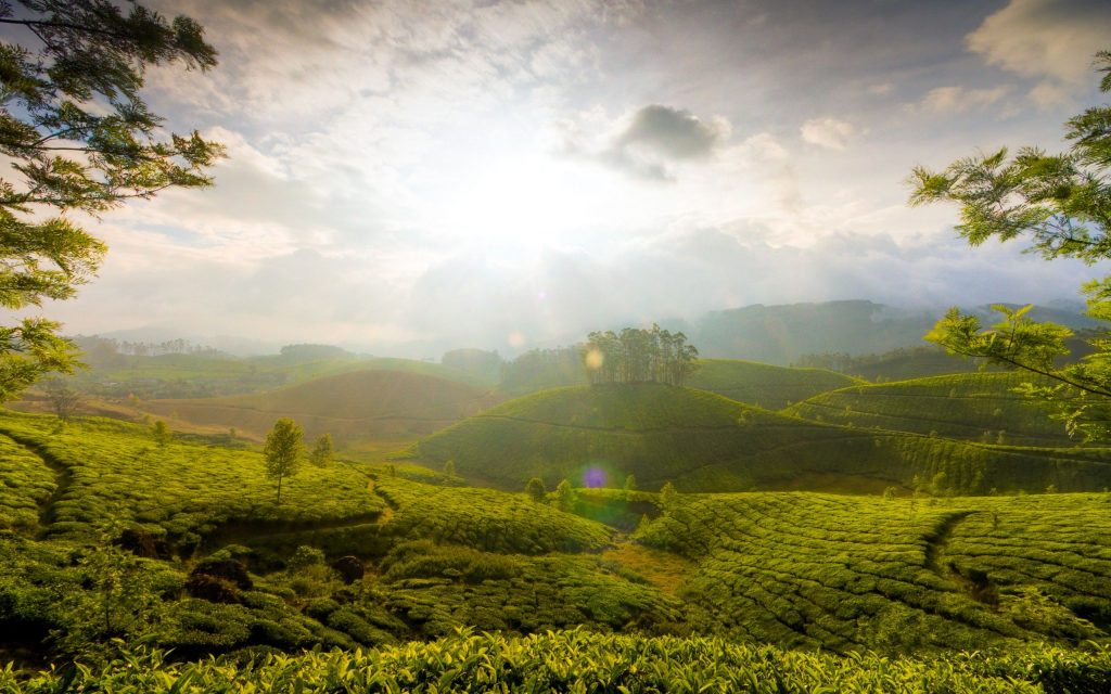 Munnar