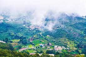 Ooty