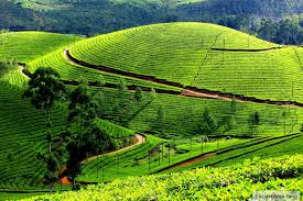 munnar